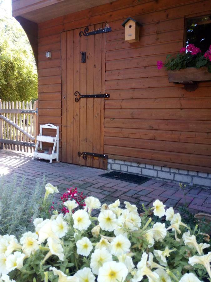 Woodstock B+B Villa Drouwenermond Exterior foto